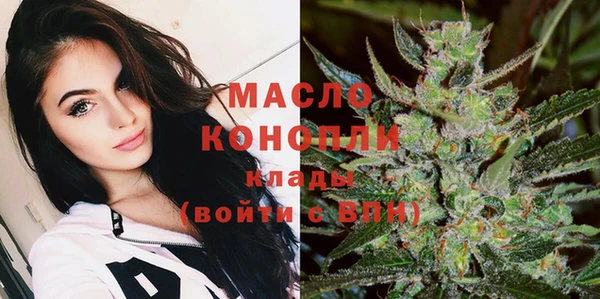 соль ск Дмитровск