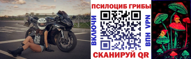Галлюциногенные грибы Cubensis  Купить  Ельня 