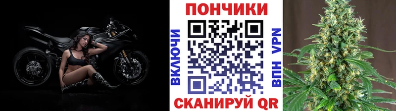 Купить  Ельня  МАРИХУАНА Amnesia 